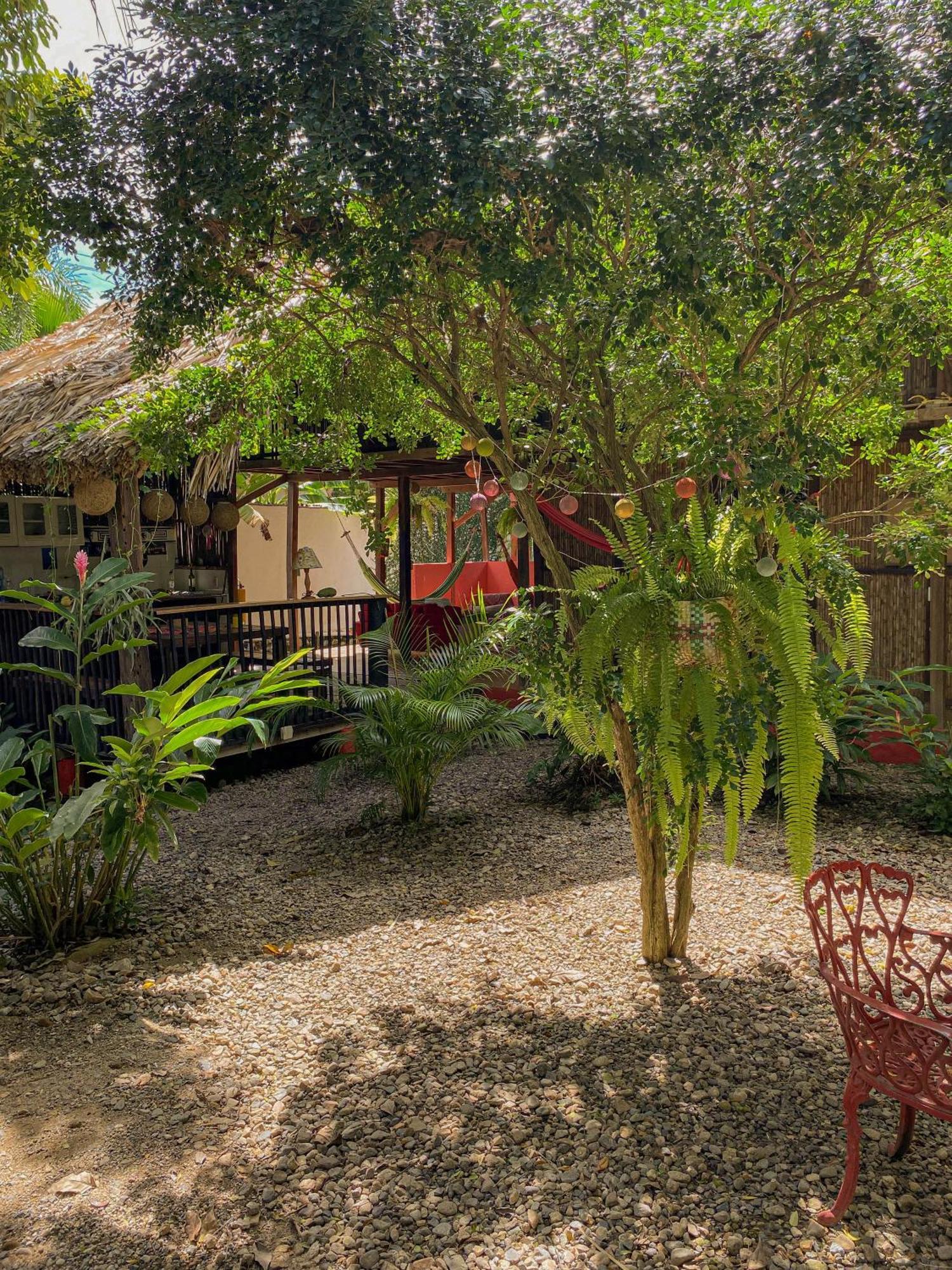 Hostal Zinpar Паломино Экстерьер фото